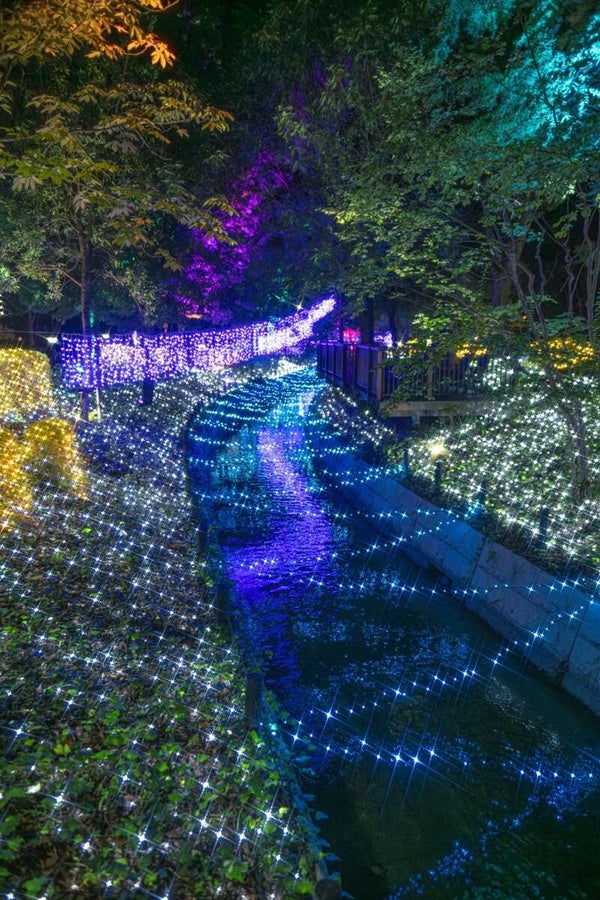 【岩国発】 倉敷満喫旅~レストランフェリシオンdeランチ&くらしき きらめきのみち~ 日帰り3